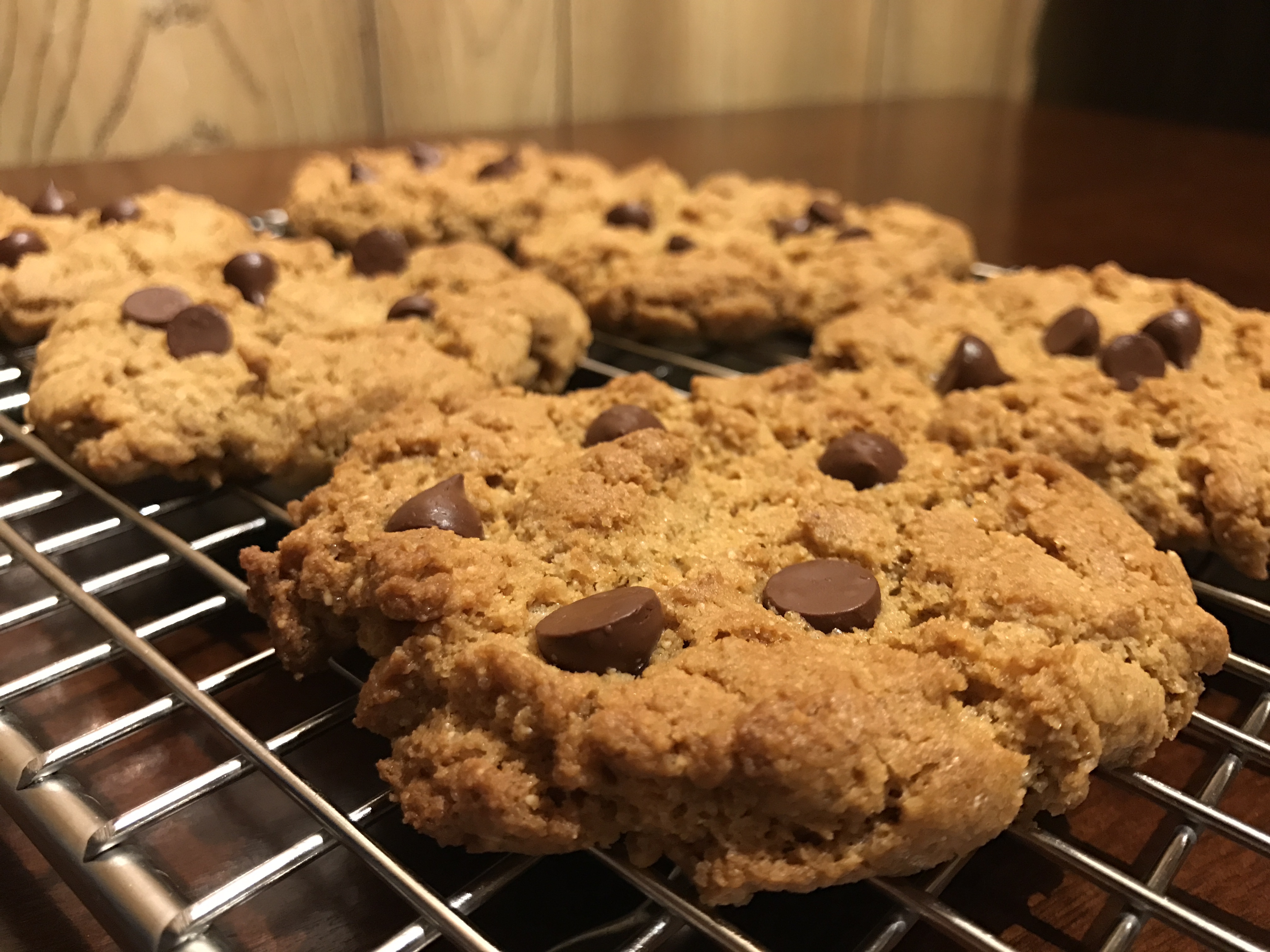 peanut butter chocolate chip cookie